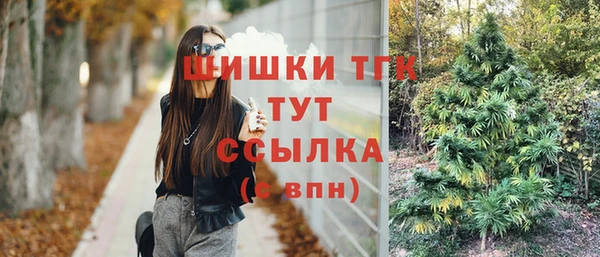 спиды Надым