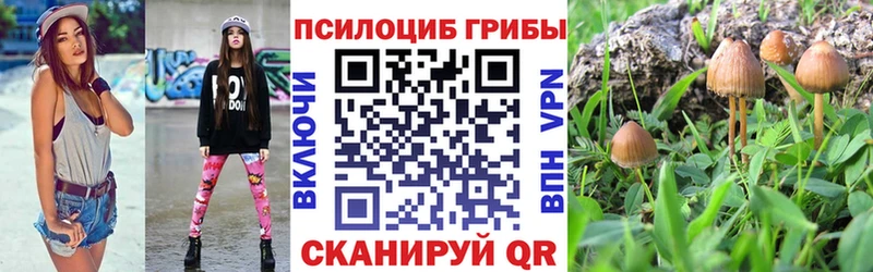 Псилоцибиновые грибы мухоморы  Купить где  Волжский 